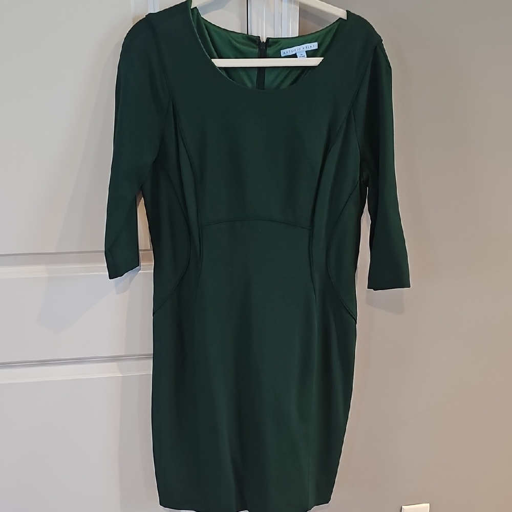 ANTONIO MELANI Forest Green Long Sleeve Sheath Dress